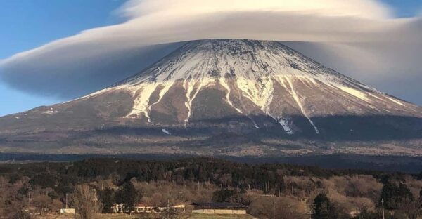 Tokyo Private Sightseeing Tour by English Speaking Chauffeur - Customization Options