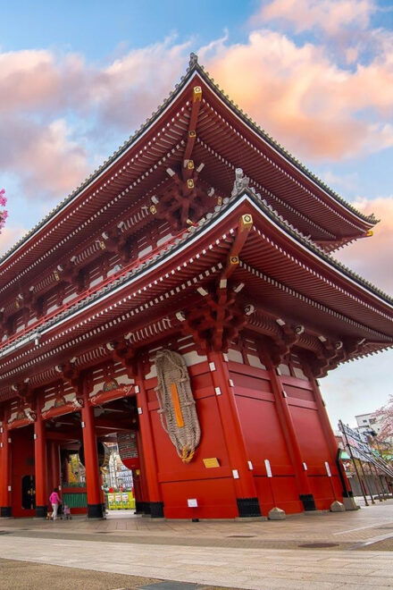 Tokyo Private Sightseeing Tour W/English Speaking Driver - Included Services and Amenities