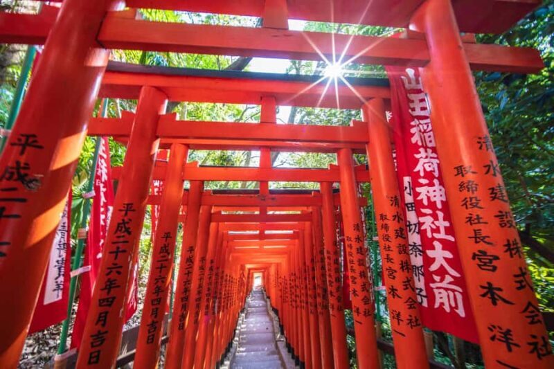 Tokyo: Private Spiritual Shrines Tour by Car with Guide - Good To Know