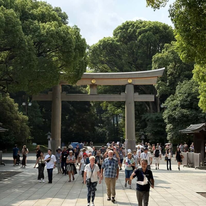 Tokyo: Private Spiritual Shrines Tour by Car with Guide - What You Can Expect from the Experience