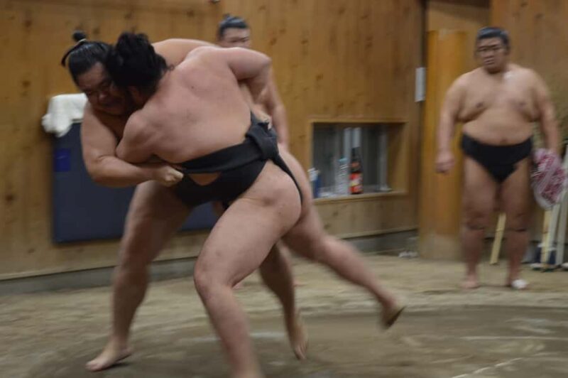 Tokyo: Private Sumo Training Session and Experience - The Itinerary in Detail
