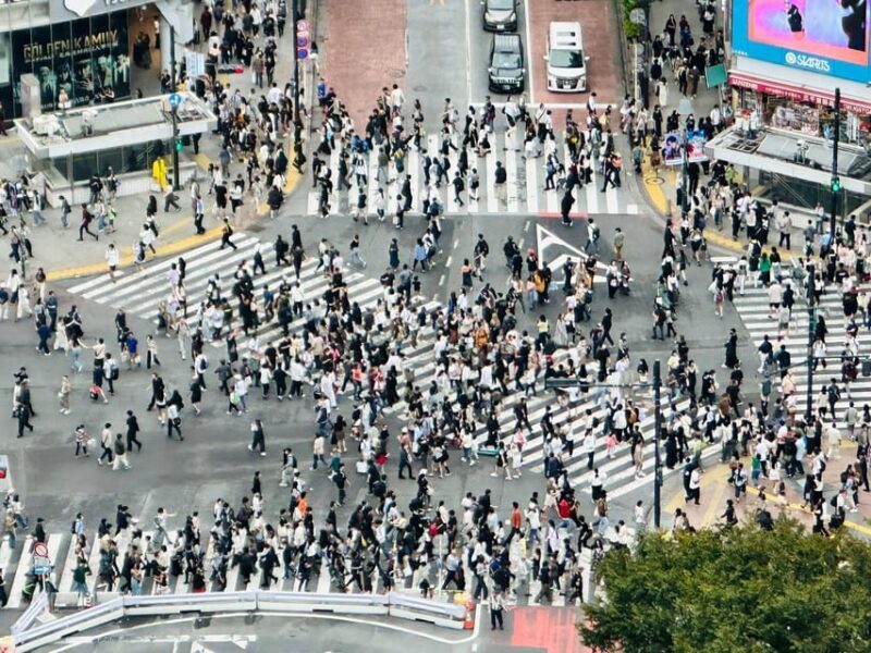 Tokyo: Private Tailored Tour with a Local Guide - FAQ