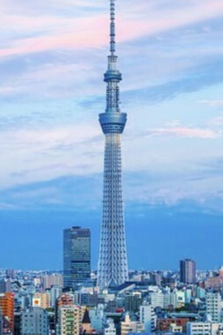 Tokyo: Private Tokyo City Must Seen Places By English Guide - Must-See Attractions