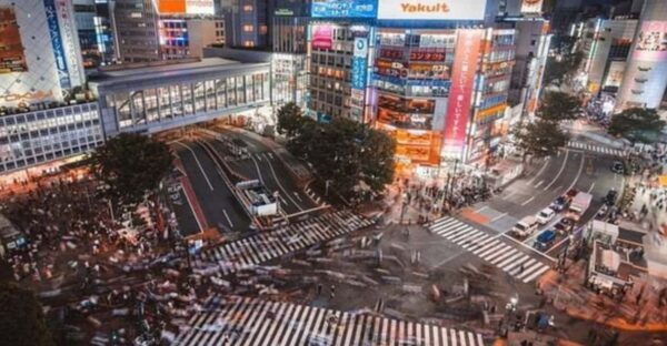 Tokyo: Private Tokyo City Must Seen Places By English Guide - Important Information