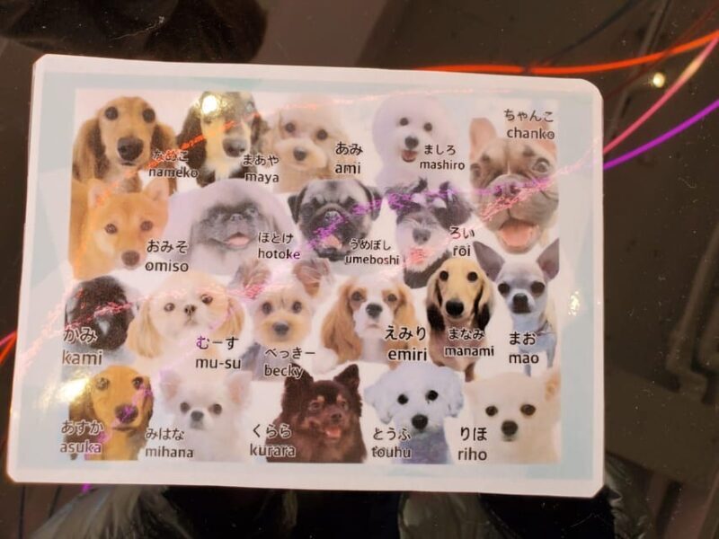 Tokyo Private Tour - Lunch & Pop Culture Insights