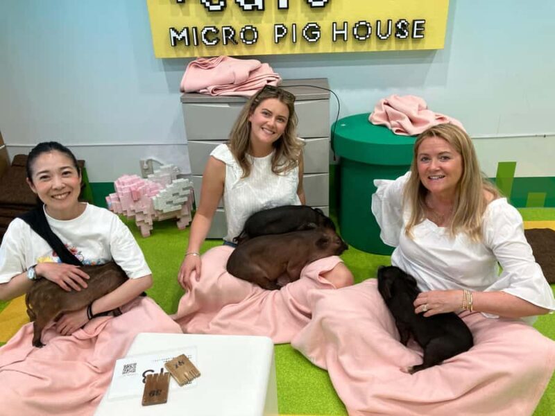 Tokyo Private Tour A Warm and Personal Day - In-Depth Look at the Itinerary