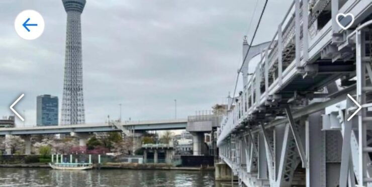 Tokyo: Private Tour by Car With English-Speaking Driver - Itinerary Highlights