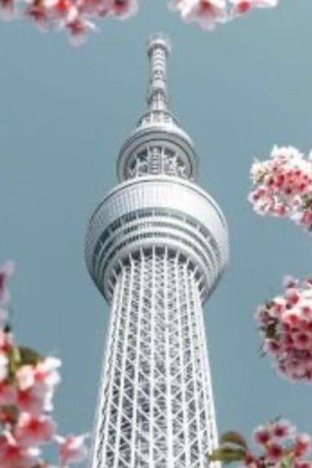 Tokyo: Private Tour by Car With English-Speaking Driver - Key Attractions
