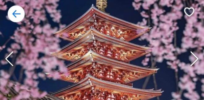 Tokyo: Private Tour by Car With English-Speaking Driver - Inclusions and Amenities