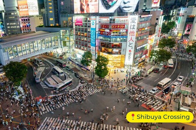 Tokyo Private Tour by Car with English-Speaking Driver (Premium) - FAQs