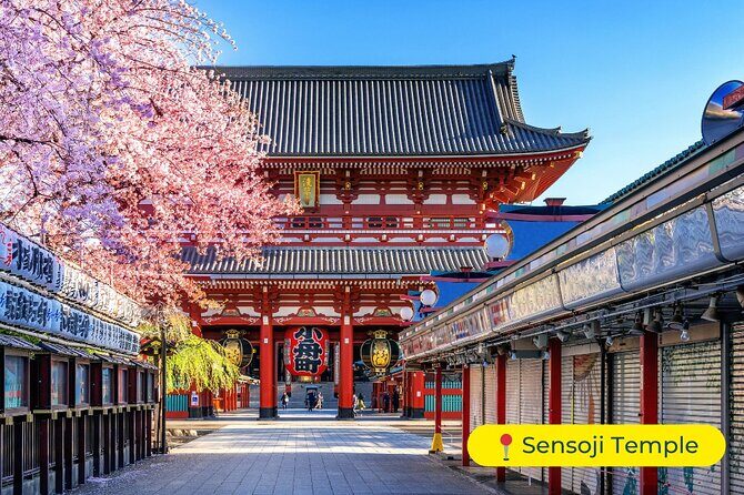 Tokyo Private Tour by Car with English-Speaking Driver (Premium) - Why Choose This Tokyo Private Car Tour?