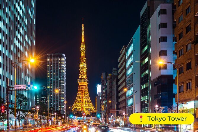 Tokyo Private Tour by Car with English-Speaking Driver (Premium) - The Experience of the Guide