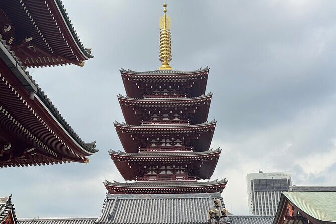 Tokyo Private Tour Discover the Best of Japans Capital - Exploring Tokyo Through a Private Lens