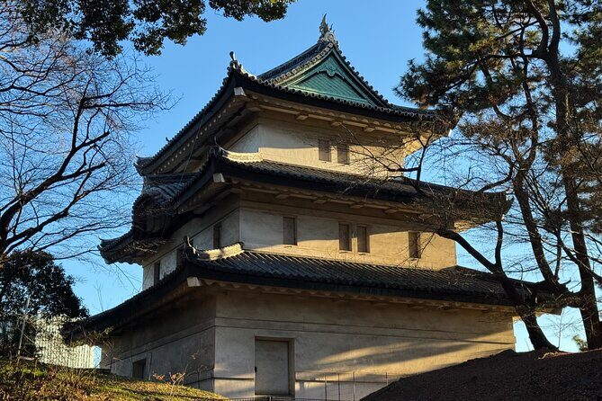 Tokyo Private Tour Discover the Best of Japans Capital - The Sum Up