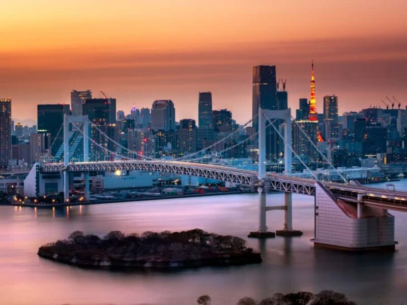 Tokyo Private Tour: Guide, Meals & Transfers Included - The Sum Up