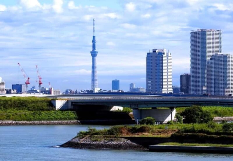 Tokyo Private Tour: Guide, Meals & Transfers Included - Good To Know