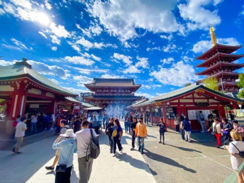 Tokyo Private Tour in Luxury Vehicle with English Guide - Why a Private Luxury Tokyo Tour Might Be Just What You Need