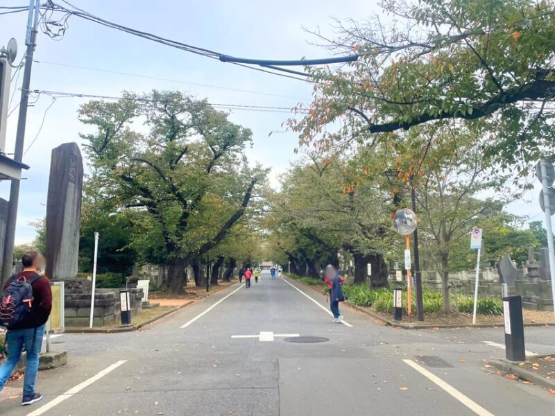 Tokyo: Private tour of Beckoning Cat Painting at Yanaka - Who Is This Tour Best For?