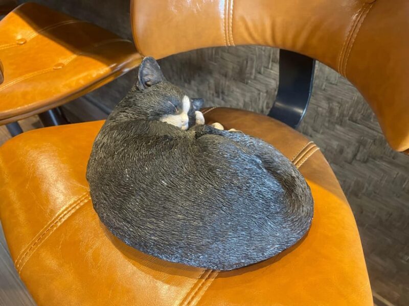 Tokyo: Private tour of Beckoning Cat Painting at Yanaka - FAQs