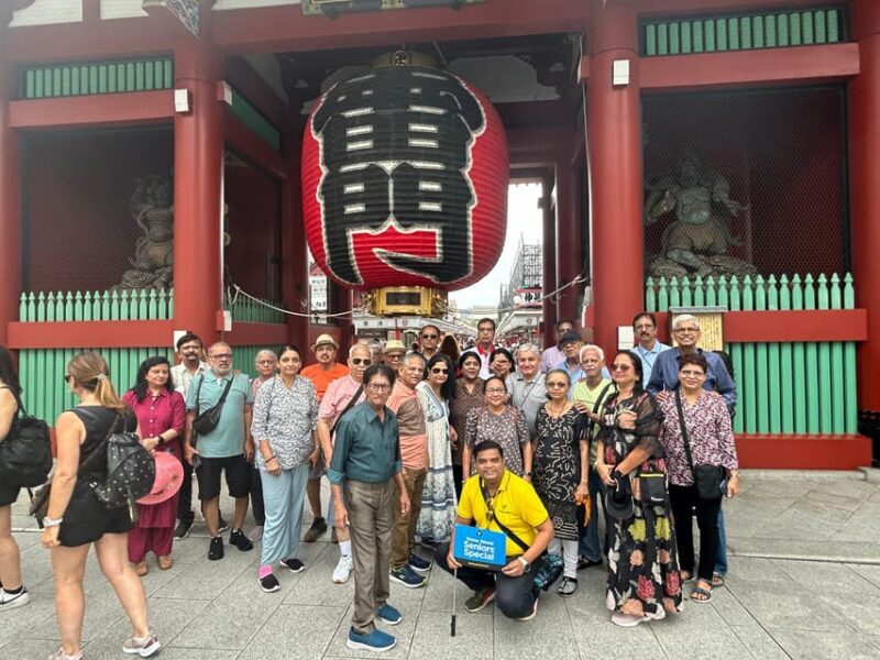 Tokyo Private Tour To-and-From Tokyo, Yokohama up to 12 - Transportation and Comfort
