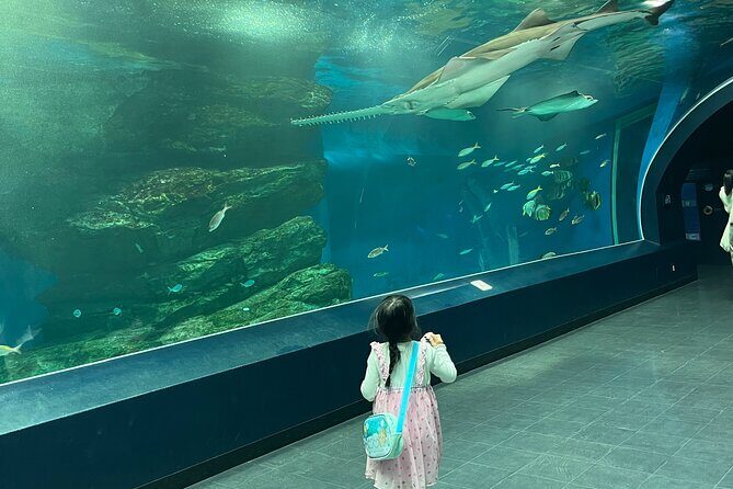 Tokyo Private Tour with a Kid~Friendly Guide - Good To Know