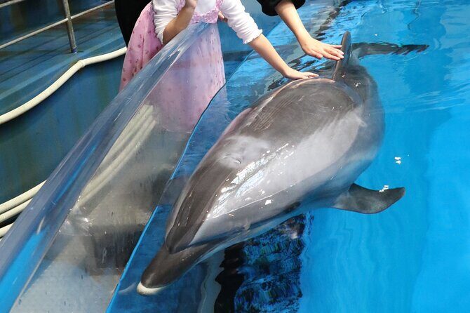 Tokyo Private Tour with a Kid~Friendly Guide - A Detailed Look at the Experience