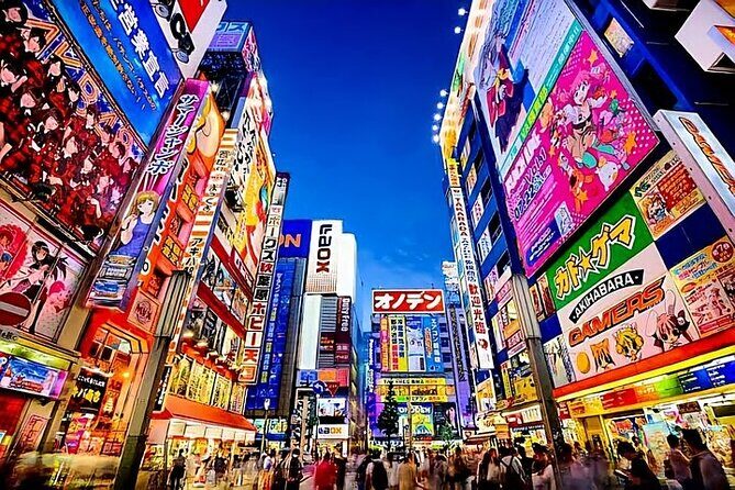 Tokyo Private Tour with English Speaking Driver Customizable - Exploring Tokyo in Style: A Deep Dive into the Private Tour with an English-Speaking Driver