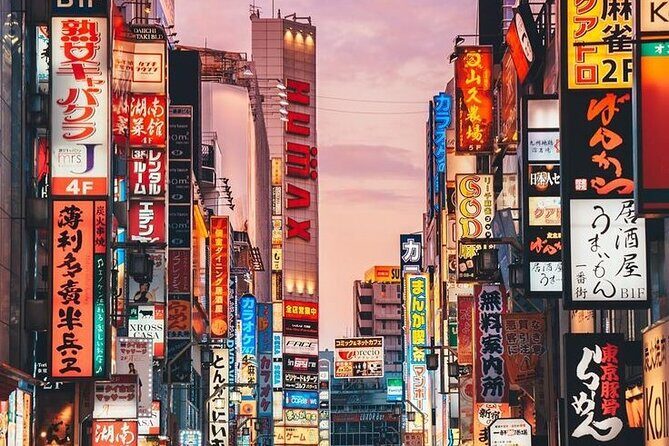 Tokyo Private Tour with English Speaking Driver Customizable - Who is This Tour Best For?