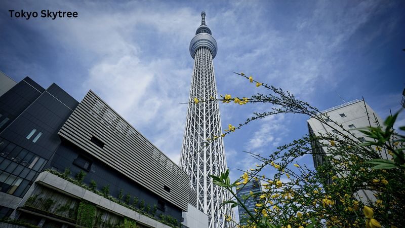 Tokyo Private Tours - Trips to Tokyo One-day Private & Customizable Tour - A private day built around your priorities