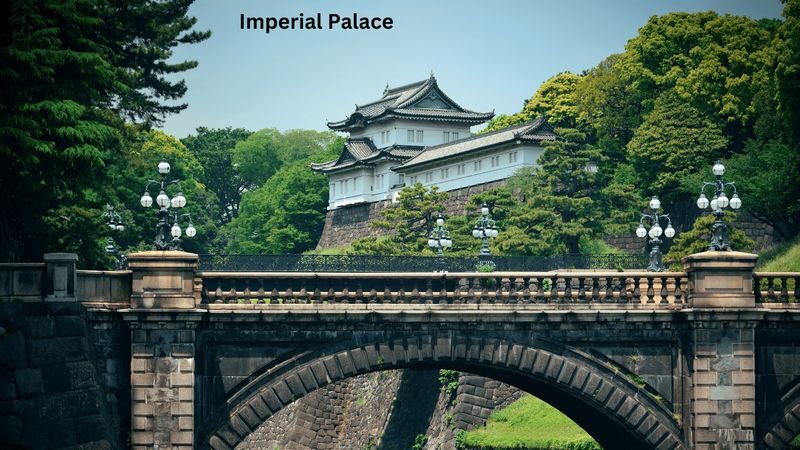 Tokyo Private Tours - Trips to Tokyo One-day Private & Customizable Tour - How to plan a satisfying nine-hour route