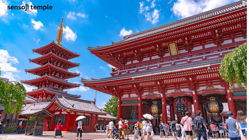 Tokyo Private Tours - Trips to Tokyo One-day Private & Customizable Tour - What the price includes, and what it does not