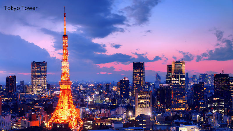 Tokyo Private Tours - Trips to Tokyo One-day Private & Customizable Tour - Pickup boundaries and other practical details