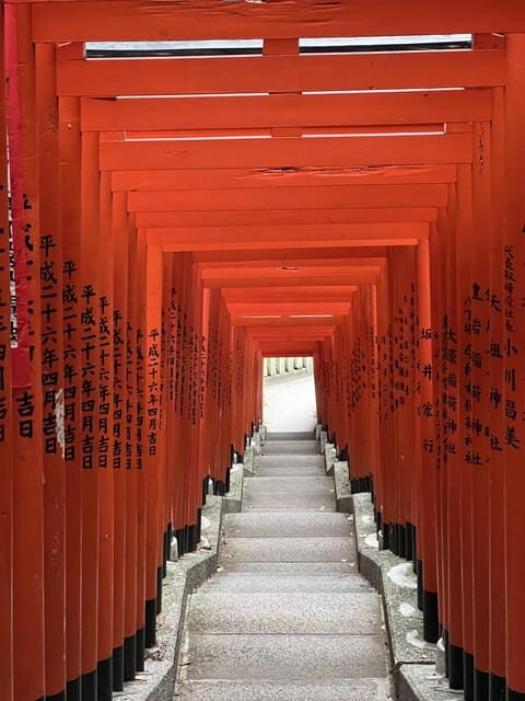 TOKYO Private visit guide Speaking French - The Highlights of the Tour