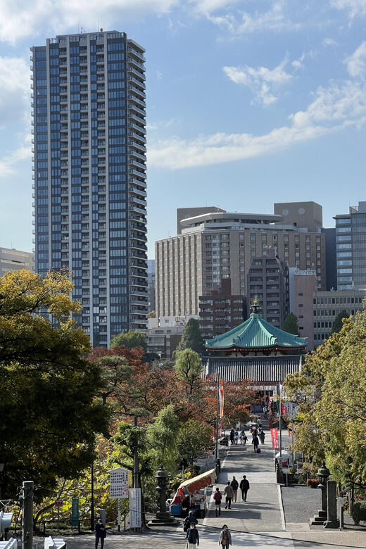 TOKYO Private visit guide Speaking French - Authenticity and Local Knowledge