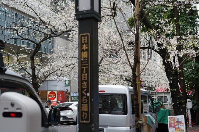 Tokyo Private Walking Tour - Good To Know