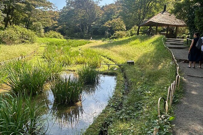 Tokyo Private Walking Tour Shibuya, Harajuku and Meiji Jingu - Who Will Love This Tour?