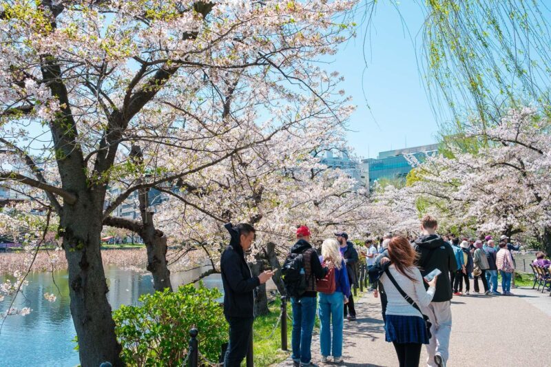 Tokyo: Private Walking Tour with a Local Guide - Who Should Book This Tour?