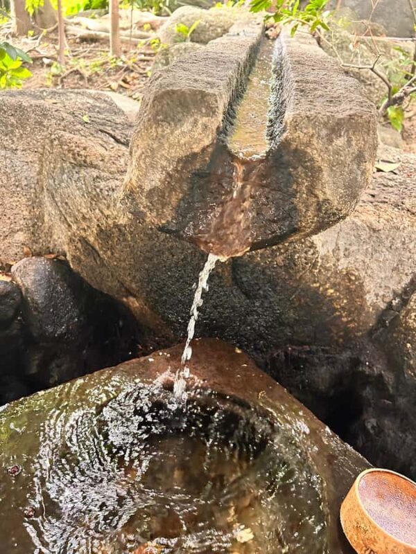 TOKYO: Professional Gardener Guides Gardens by E-bike -LIGHT - The Benefits of a Guided E-bike Tour