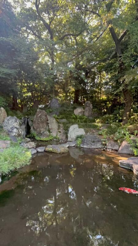 TOKYO: Professional Gardener Guides Gardens by E-bike -LIGHT - FAQ