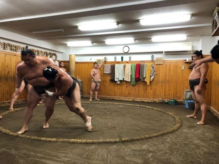 Tokyo: Real Sumo Morning Practice Tour at Yokozuna Stable - Experience the Sumo Practice