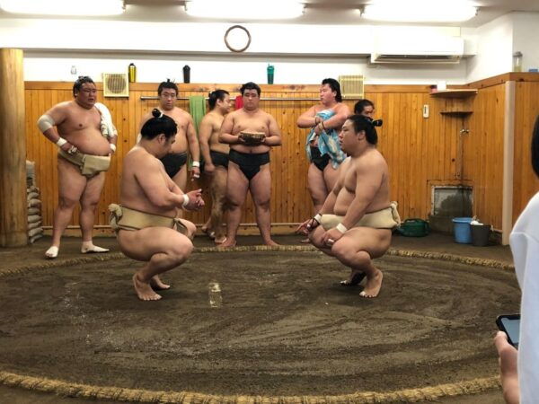 Tokyo: Real Sumo Morning Practice Tour at Yokozuna Stable - Customer Feedback and Ratings