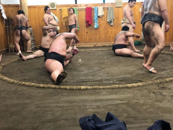 Tokyo: Real Sumo Morning Practice Tour at Yokozuna Stable - What to Expect During the Tour