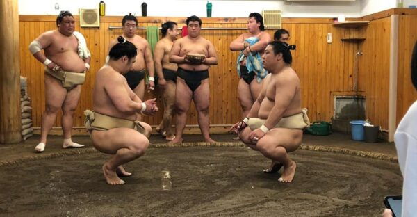 Tokyo: Real Sumo Morning Practice Tour at Yokozuna Stable - Frequently Asked Questions