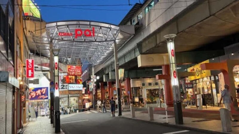 Tokyo Retro Vibes and Izakaya Tour in KOENJI - The Practical Side: What’s Included and What to Prepare