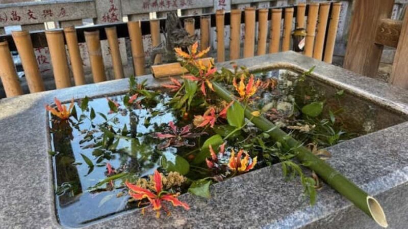 Tokyo Retro Vibes and Izakaya Tour in KOENJI - Authenticity and Unique Insights