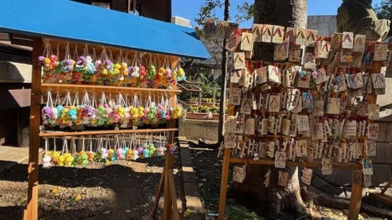 Tokyo Retro Vibes and Izakaya Tour in KOENJI - Who Will Love This Tour?