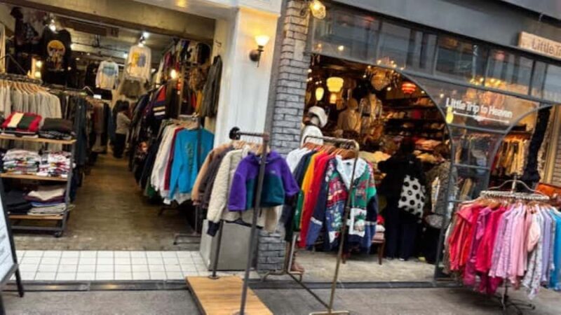 Tokyo Retro Vibes and Izakaya Tour in KOENJI - Final Thoughts