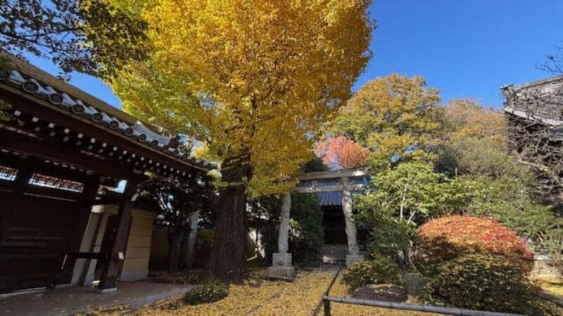 Tokyo Retro Vibes and Izakaya Tour in KOENJI - FAQ