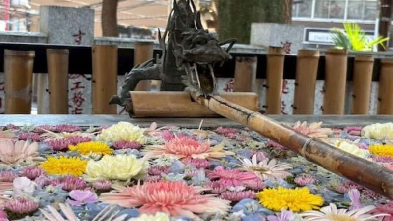 Tokyo Retro Vibes and Izakaya Tour in KOENJI - Good To Know