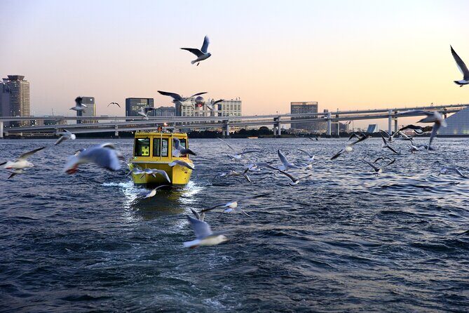 Tokyo: Scenic Bay Cruise with Local Guide on Private Boat - FAQs